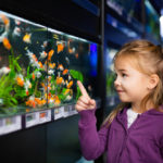 Výber a nákup akvária